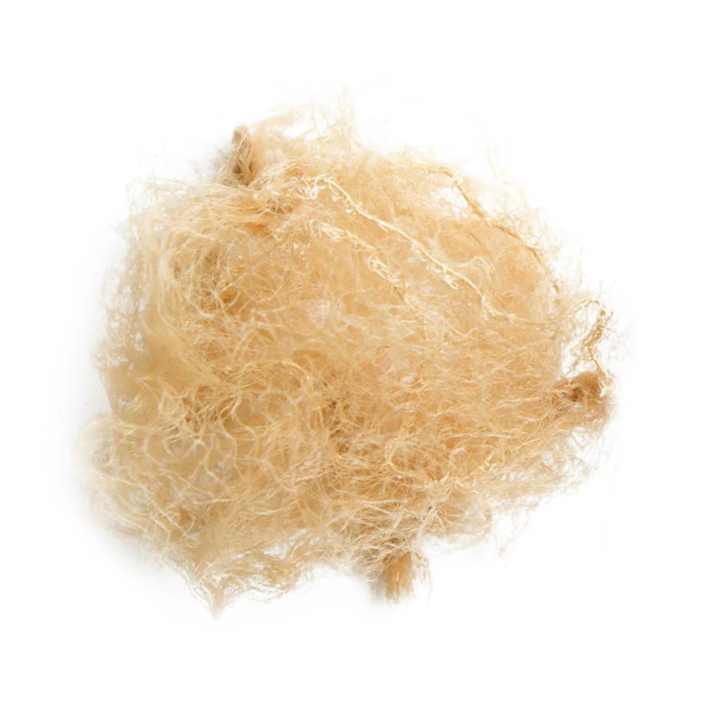 Bun Nets - 3 Pack