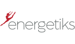 Energetiks Professional Fishnets - Adult